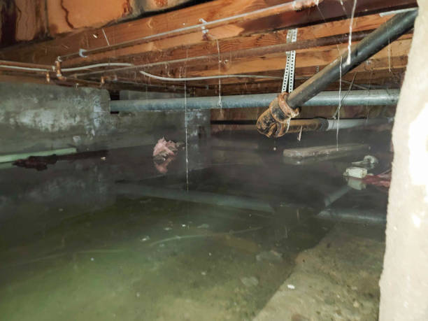 Reliable Beaver Dam, AZ Water damage restoration Solutions