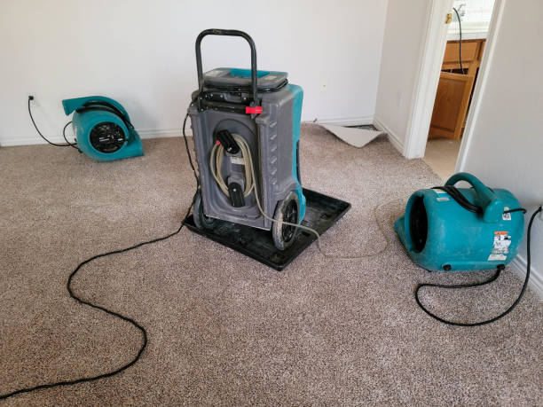 Best Flood damage cleanup  in Beaver Dam, AZ