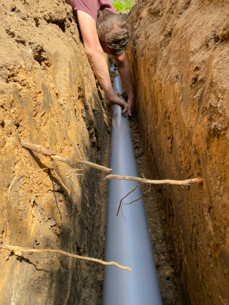 Best Flood damage cleanup  in Beaver Dam, AZ