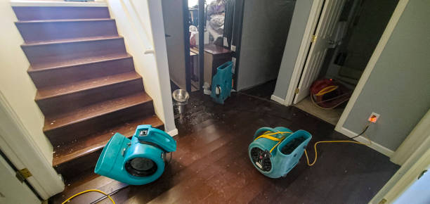 Best Emergency water damage restoration  in Beaver Dam, AZ