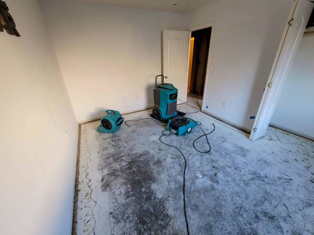 Best Basement water damage restoration  in Beaver Dam, AZ