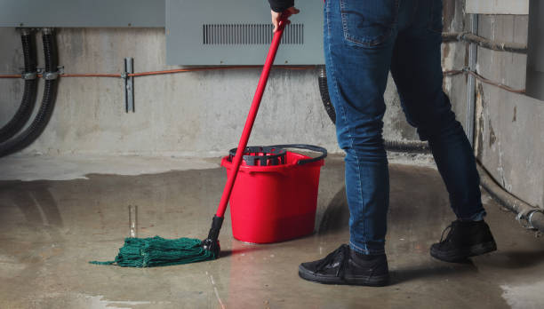  Beaver Dam, AZ Water damage restoration Pros