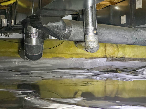 Best Water damage repair service  in Beaver Dam, AZ