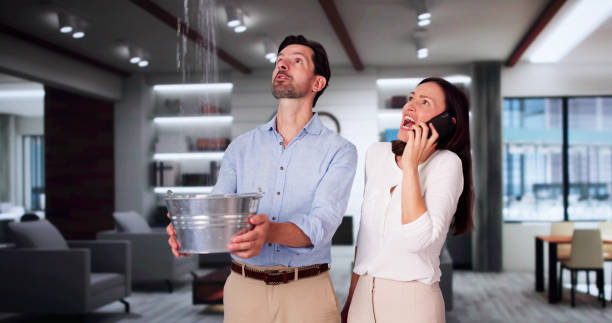 Best Flood restoration services  in Beaver Dam, AZ