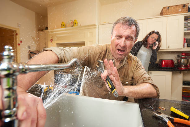 Best Water damage cleanup near me  in Beaver Dam, AZ